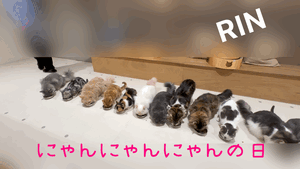 りん