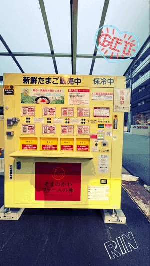 りん