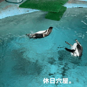 りん