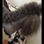 ヒトミ