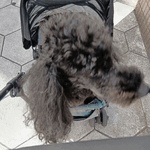 ヒトミ