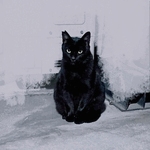 ヒトミ