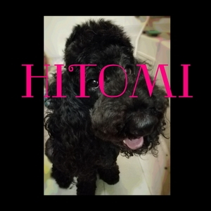 ヒトミ