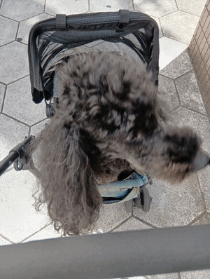 ヒトミ