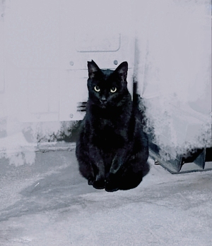 ヒトミ