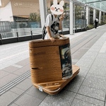 おはようございます🌧️