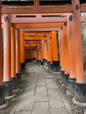 遅れて初詣⛩️