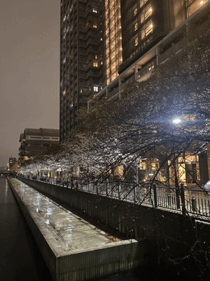 寒い🥶