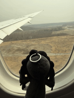 着いた🛬
