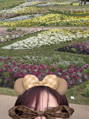 おはようございます☀️