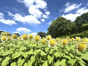 おはようございます☀️