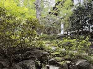 山の香り