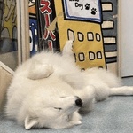 ありがとう