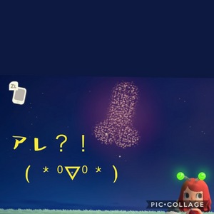 夏の風物詩