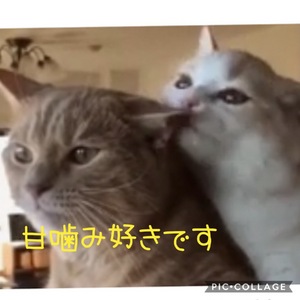 今日も…