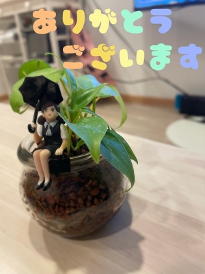 ありがとうございます