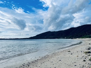 おはようございます