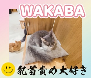 おはようございます