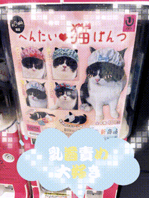 おはようございます