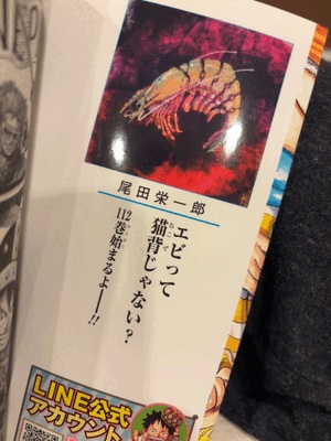 アルバフ編どうなるのー！