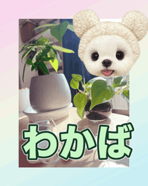 おはよう