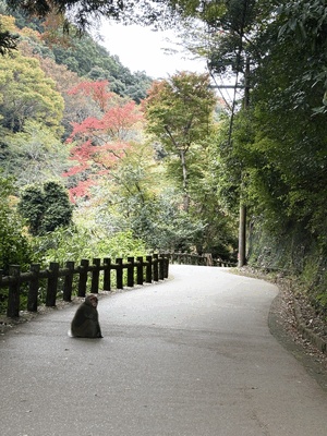 ありがとう