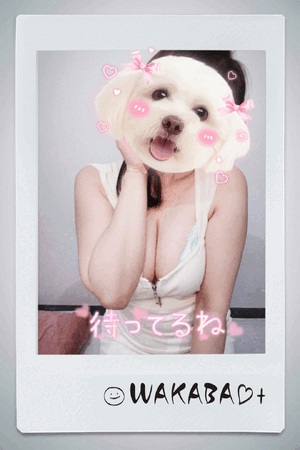 エロいお姉さんは好きですか?