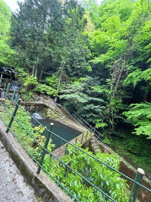 自然に行ってたよ！