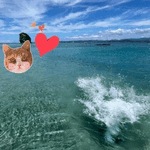 夏休みおしまい🐷