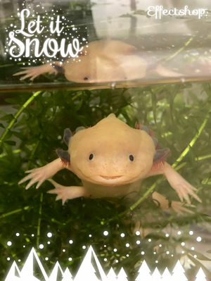 ☆
