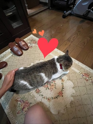 ☆