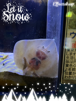 ☆