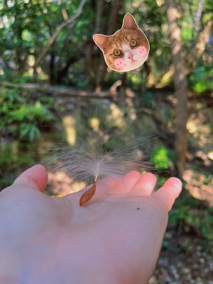 ☆