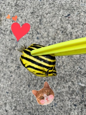 ☆