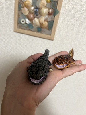☆