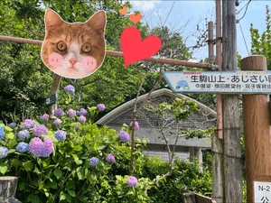 ☆