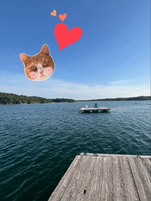 ☆