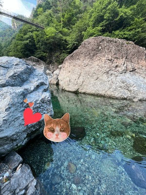 ⭐︎