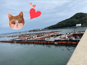 ⭐︎