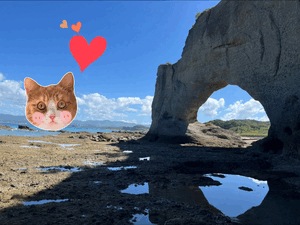 ⭐︎