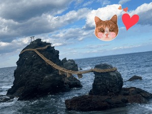 ⭐︎