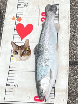 ⭐︎