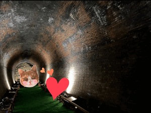 ⭐︎