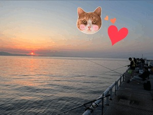 ☆