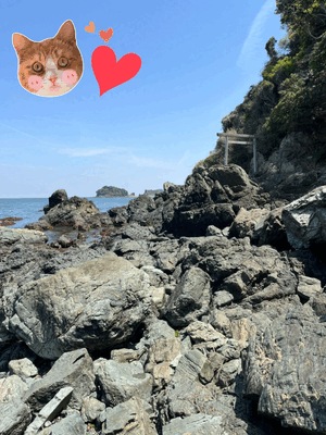 穴、、、✨場✨？