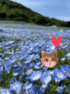 必死なお写真