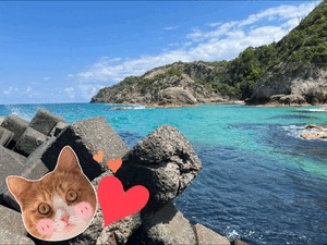 海✨✨
