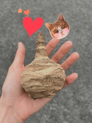 🆕おもちゃ✨