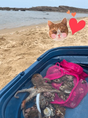 海〜✨