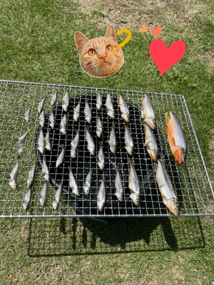 ひもの🐟